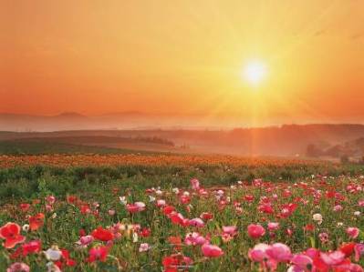 Recitation of Surat Al-`Adiyat (奔驰的马队) post thumbnail image