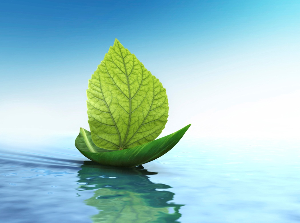 Environment and Its Elements in the Quran post thumbnail image