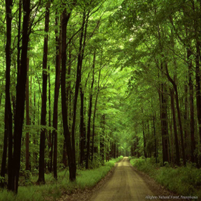 Al-Mutaffifin (Die das Maß Kürzenden) post thumbnail image