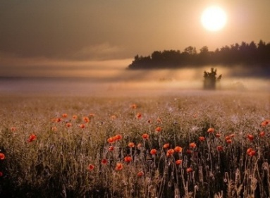 Nuh (Noah) post thumbnail image