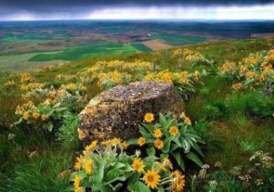 Ar-Rahman (Der Erbarmer) post thumbnail image