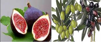 Reflections on Surat At-tin post thumbnail image