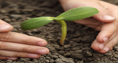 Qur’anic Gems: Juz’ 18 post thumbnail image