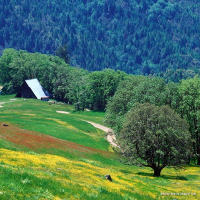 Recitarea Surei Prisosința post thumbnail image