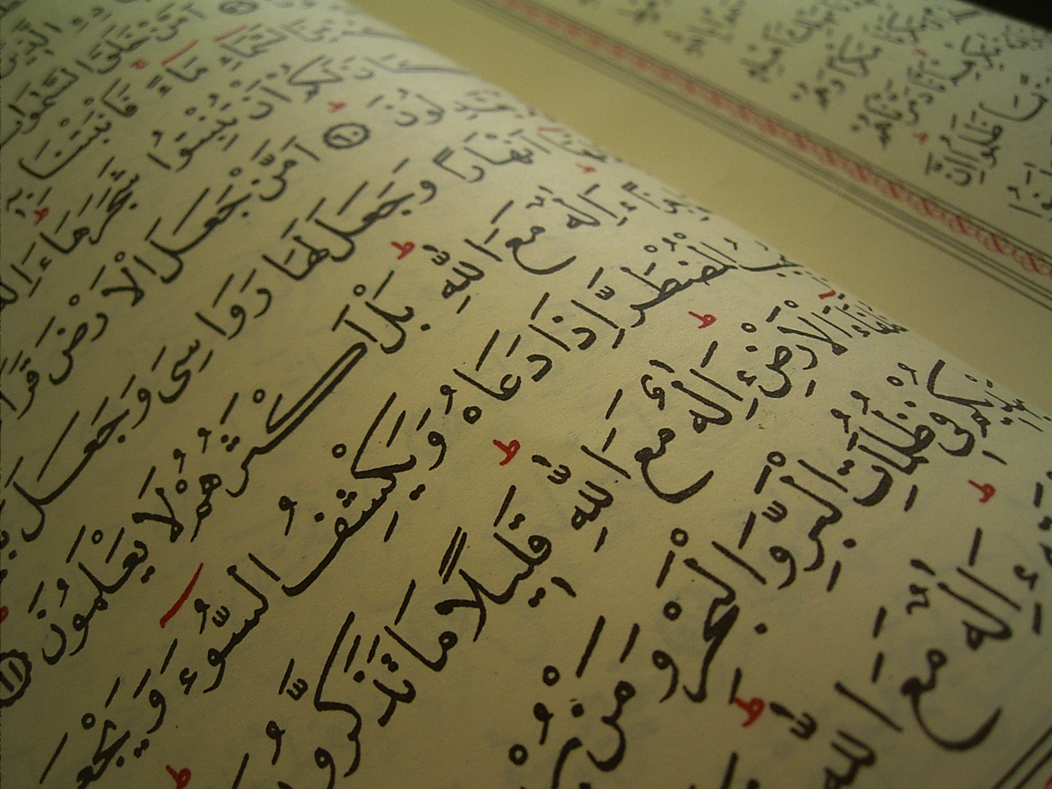 Correct Your Recitation (17) post thumbnail image